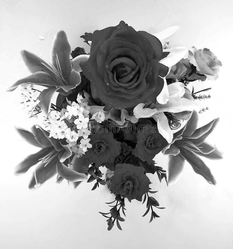 Flores negras y blancas foto de archivo. Imagen de flores - 233809770