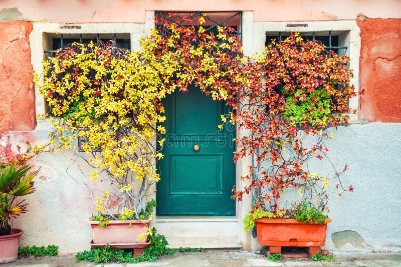 Flores perto da porta da casa foto de stock Flores perto da porta da casa foto de stock