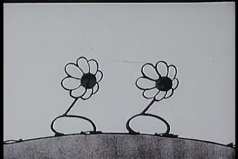 Flores que aplauden del tiro ancho en la montaña libre illustration