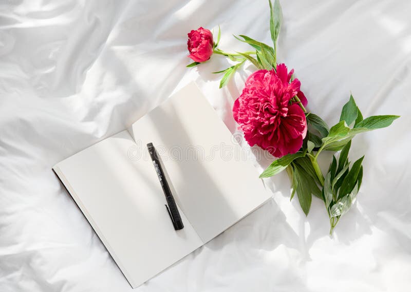 Flores que permanecen en el libro abierto en cama Buena ma?ana rom?ntica Visi?n superior foto de archivo libre de regalías Flores que permanecen en el libro abierto en cama Buena ma?ana rom?ntica Visi?n superior foto de archivo libre de regalías