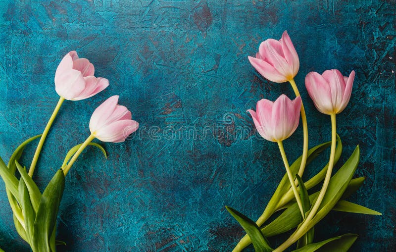 Flores rosadas de los tulipanes imagen de archivo libre de regalías Flores rosadas de los tulipanes imagen de archivo libre de regalías