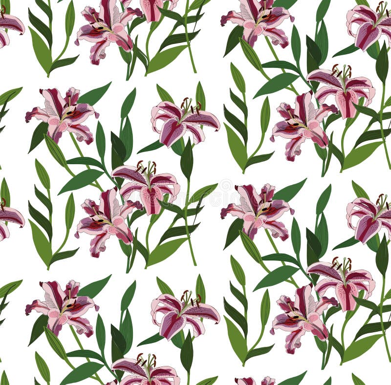 Flores rosadas rojas florales herbarias de los lirios del verano brillante precioso maravilloso de la primavera con vector verde ilustración del vector Flores rosadas rojas florales herbarias de los lirios del verano brillante precioso maravilloso de la primavera con vector verde ilustración del vector
