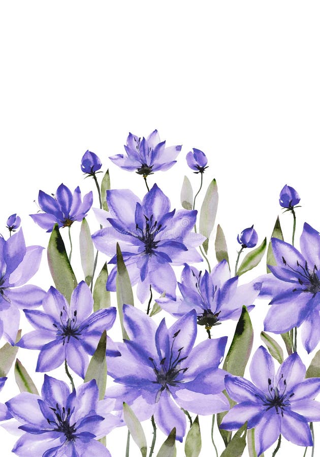 Flores roxas bonitas com hastes verdes e folhas no fundo branco Teste padrão floral sem emenda Pintura da aguarela ilustração stock Flores roxas bonitas com hastes verdes e folhas no fundo branco Teste padrão floral sem emenda Pintura da aguarela ilustração stock