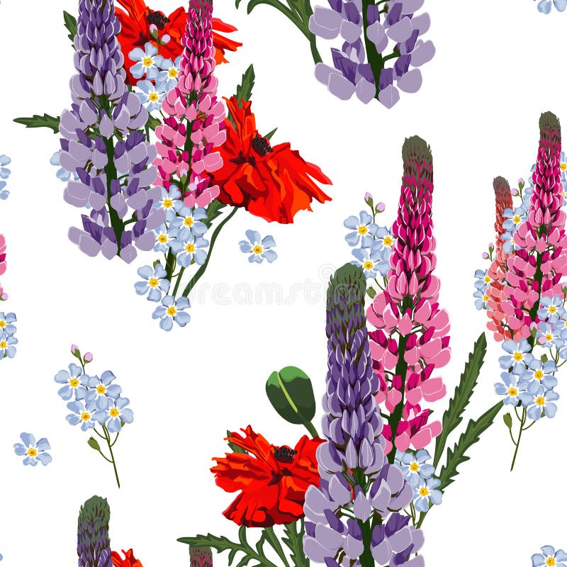 Flores salvajes de los lupines rosa, violeta de la primavera del verano, amapola roja y flores azules de la nomeolvides libre illustration Flores salvajes de los lupines rosa, violeta de la primavera del verano, amapola roja y flores azules de la nomeolvides libre illustration