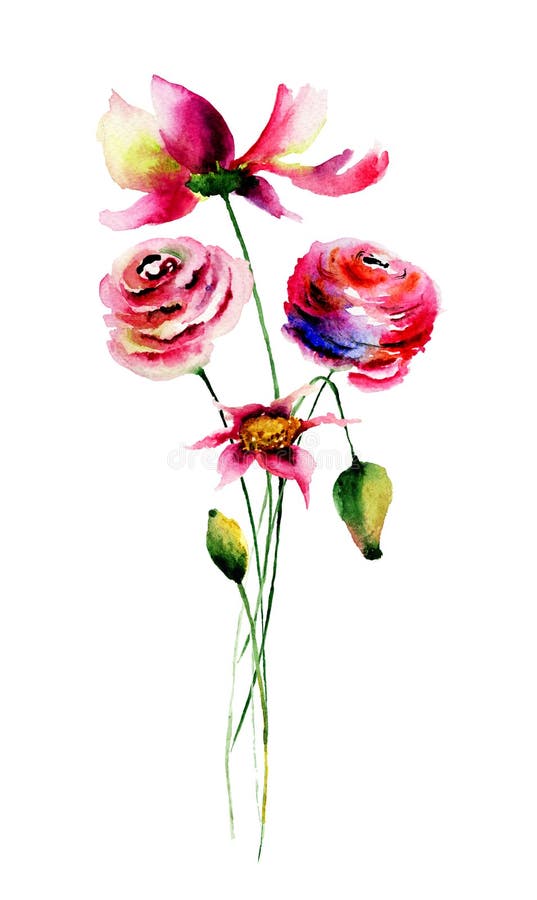 Flores selvagens ilustração royalty free Flores selvagens ilustração royalty free