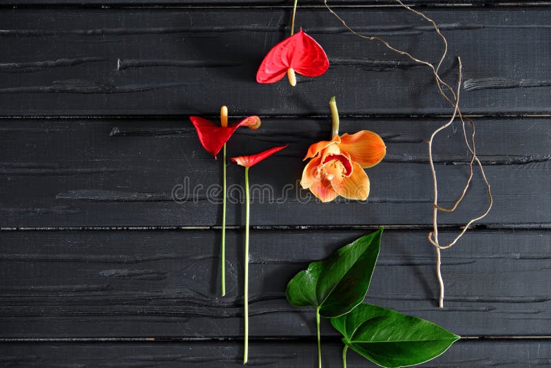 Flores tropicais e folhas verdes, orquídea, antúrio em um fundo de madeira preto, configuração lisa fotografia de stock Flores tropicais e folhas verdes, orquídea, antúrio em um fundo de madeira preto, configuração lisa fotografia de stock