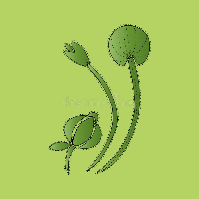 Flores verdes en la floración, dientes de león, fondo del ejemplo libre illustration Flores verdes en la floración, dientes de león, fondo del ejemplo libre illustration