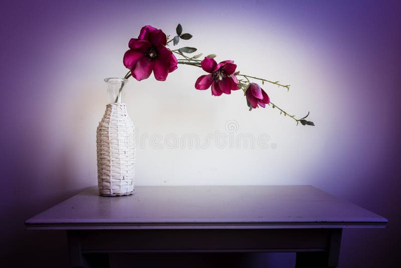 Flores violetas de la orquídea en el florero blanco imagen de archivo Flores violetas de la orquídea en el florero blanco imagen de archivo