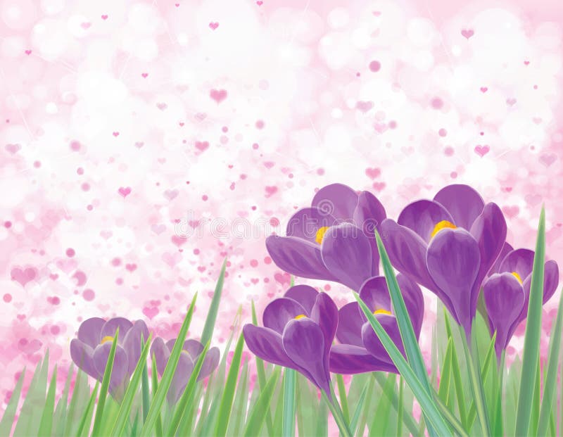 Flores violetas do crocuse da mola do vetor ilustração do vetor Flores violetas do crocuse da mola do vetor ilustração do vetor