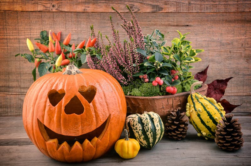 Flores y calabaza de Autmn Víspera de Todos los Santos imagenes de archivo Flores y calabaza de Autmn Víspera de Todos los Santos imagenes de archivo
