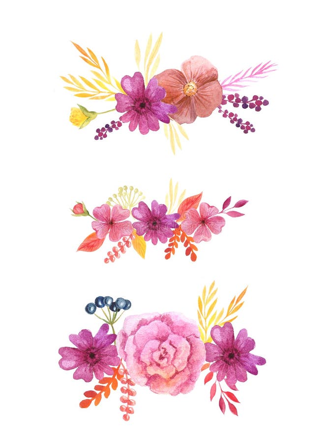 Flores y hojas rosadas delicadas de la acuarela ilustración del vector Flores y hojas rosadas delicadas de la acuarela ilustración del vector