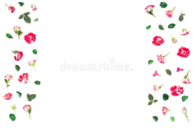 Floresce a composição Quadro feito de flores cor-de-rosa Configuração lisa, vista superior fotografia de stock royalty free Floresce a composição Quadro feito de flores cor-de-rosa Configuração lisa, vista superior fotografia de stock royalty free