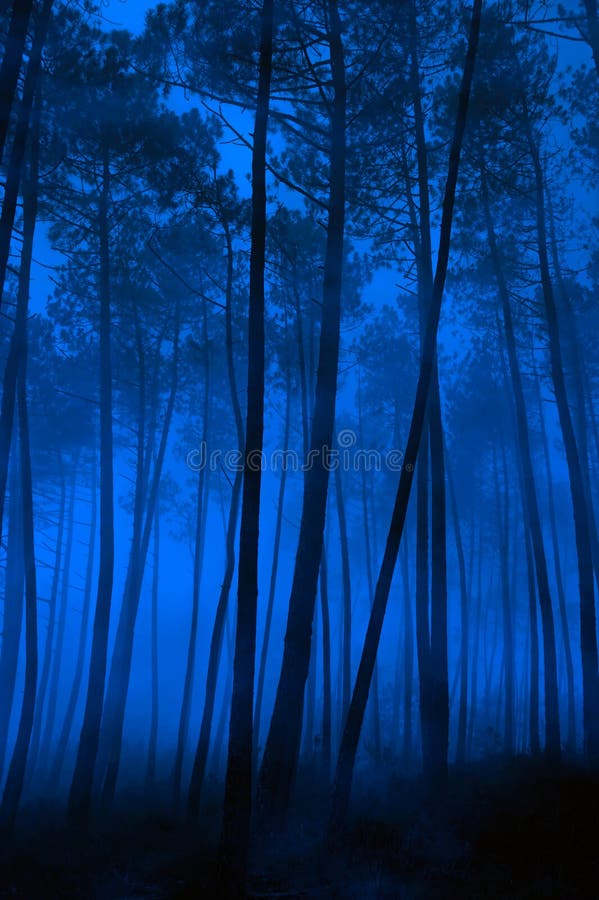 Corça na floresta em tons de azul, em folha têxtil de alta qualidade