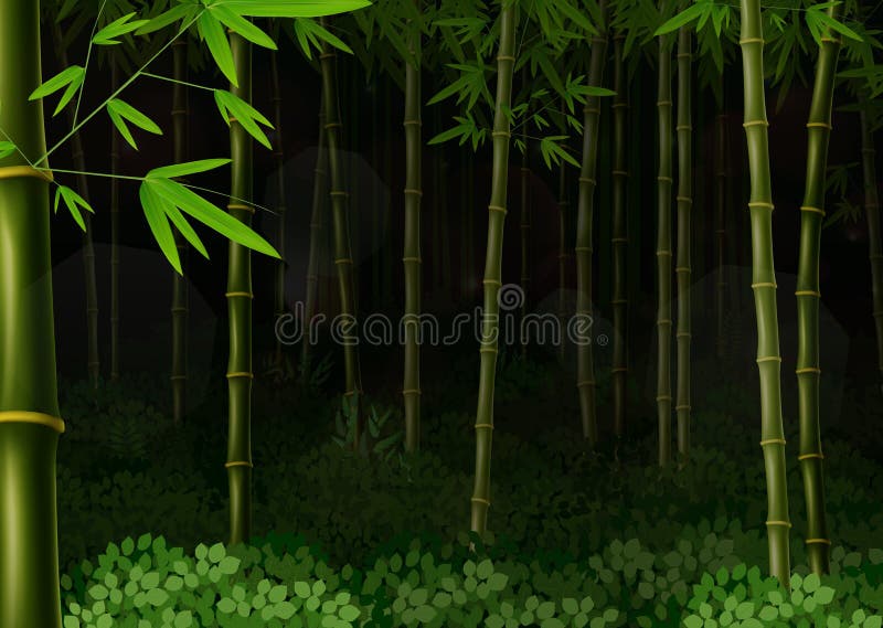 Floresta De Bambu Do Fundo Na Noite Ilustração do Vetor