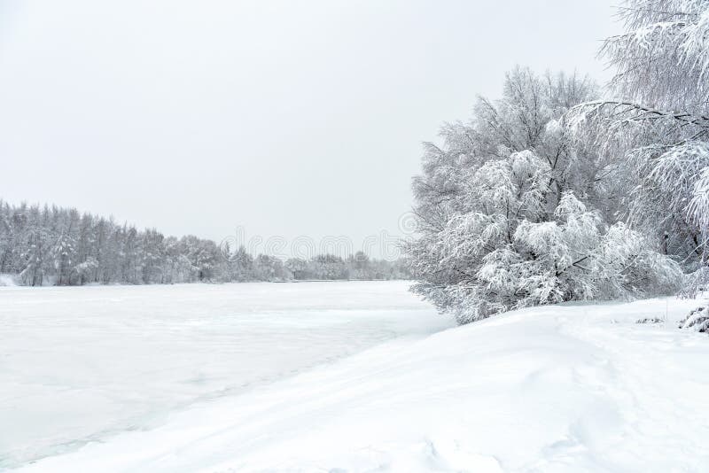 Paisagem Da Floresta De Inverno, Rio De Gelo Nevado Durante A