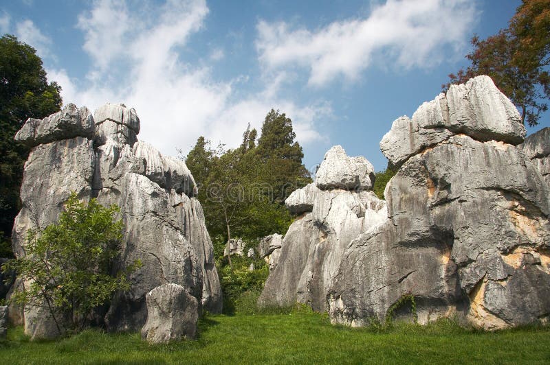 Floresta de Pedra imagem de stock royalty free