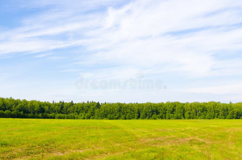 A floresta do campo e do céu fotos de stock A floresta do campo e do céu fotos de stock