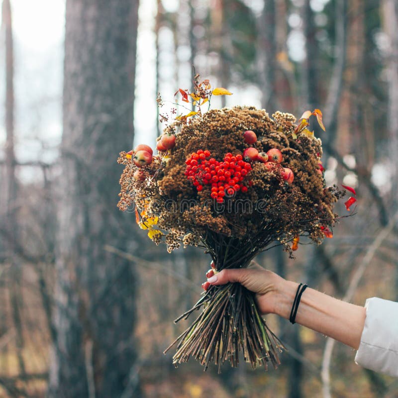 A floresta do inverno do outono secou o ramalhete nas mãos da mulher, diy