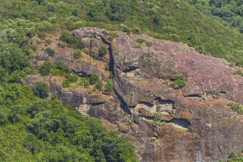 Floresta e montanha foto de stock