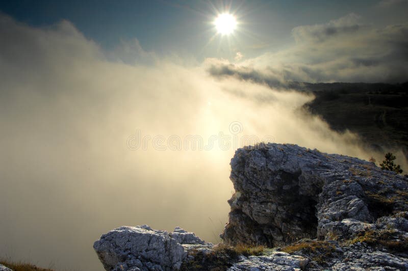 Floresta misteriosa foto de stock royalty free