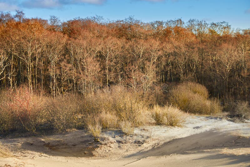 The Curonian Spit is home to the highest moving drifting sand dunes in Europe. The existence of this narrow shoal is inherently threatened by the natural processes that govern shoreline features. It depends on a dynamic balance between sand transport and deposition. The Curonian Spit is home to the highest moving drifting sand dunes in Europe. The existence of this narrow shoal is inherently threatened by the natural processes that govern shoreline features. It depends on a dynamic balance between sand transport and deposition.