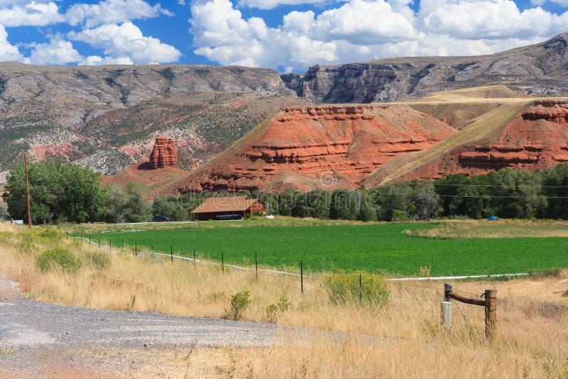 Floresta nacional do Bighorn em Wyoming EUA fotografia de stock Floresta nacional do Bighorn em Wyoming EUA fotografia de stock
