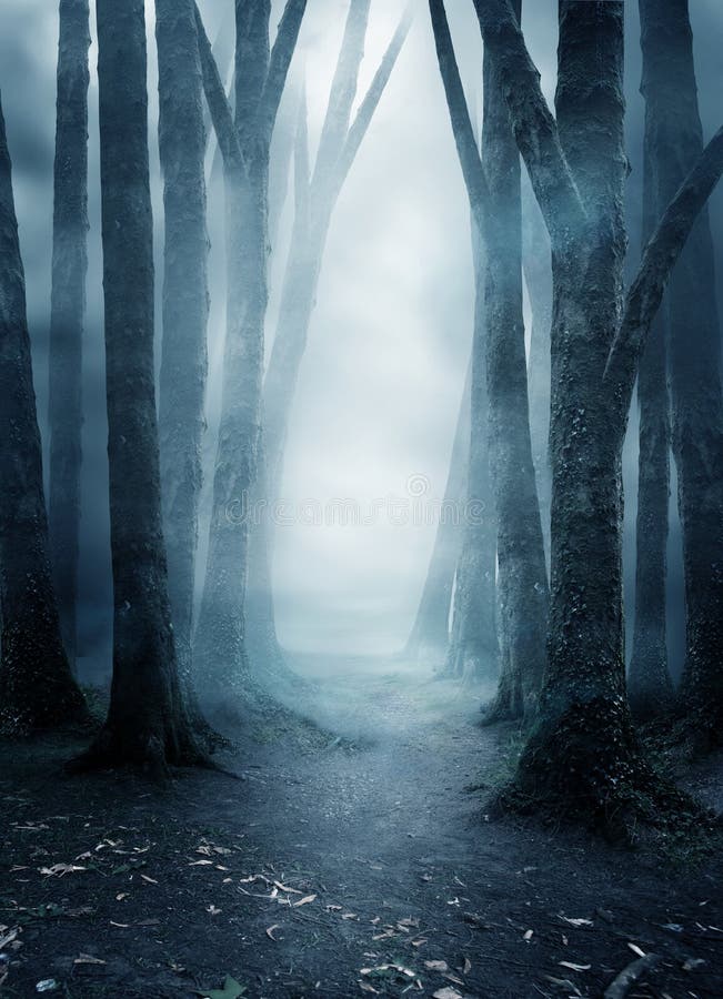 A quite and mysterious forest covered in mist with a pathway running through it. Photo composite. A quite and mysterious forest covered in mist with a pathway running through it. Photo composite