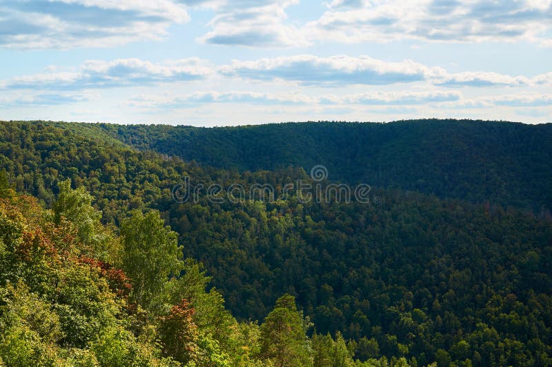Floresta verde bonita contra o céu azul com nuvens Parque natural foto de stock Floresta verde bonita contra o céu azul com nuvens Parque natural foto de stock