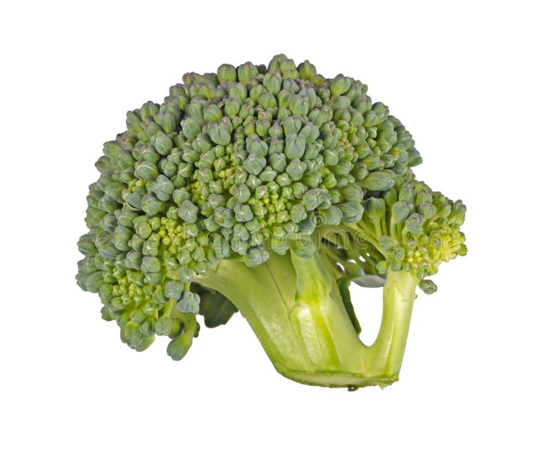 Organic Brocoli Floret Closeup Stock Photo Image of freshness