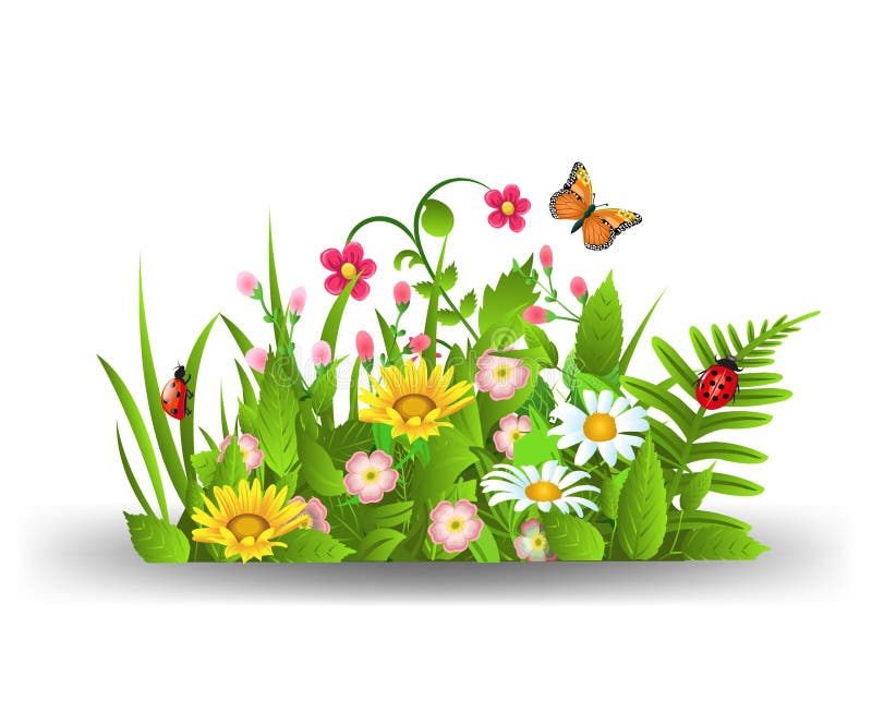 Flori de vară stock illustration