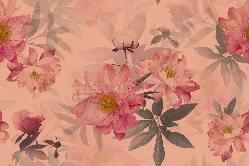 Flori frumoase flori peoniere. tipar fără sudură florală. culoare pastilă royalty free illustration