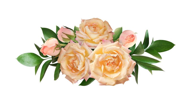Flori galbene de trandafir și frunze verzi de pesmet într-o compoziție florală izolată pe alb. Vizualizare de sus. Plat lay royalty free stock photography