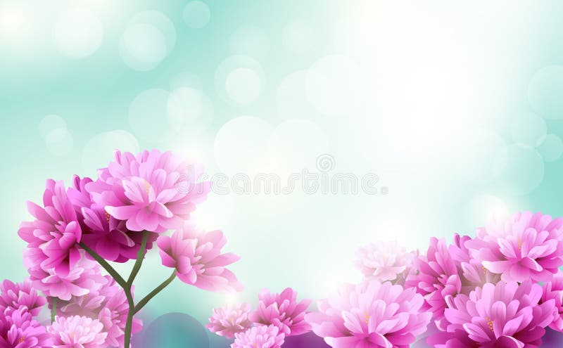 Flori roz frumoase înflorind pe fond albastru deschis în ambele sensuri. zi de Sfântul Valentin fericită. zi a femeii fericite stock illustration