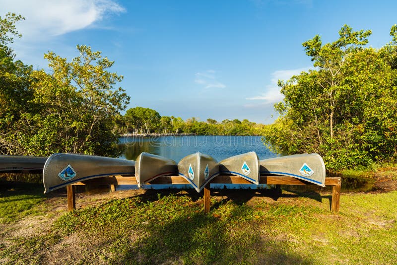 Florida Everglades stock afbeelding Florida Everglades stock afbeelding