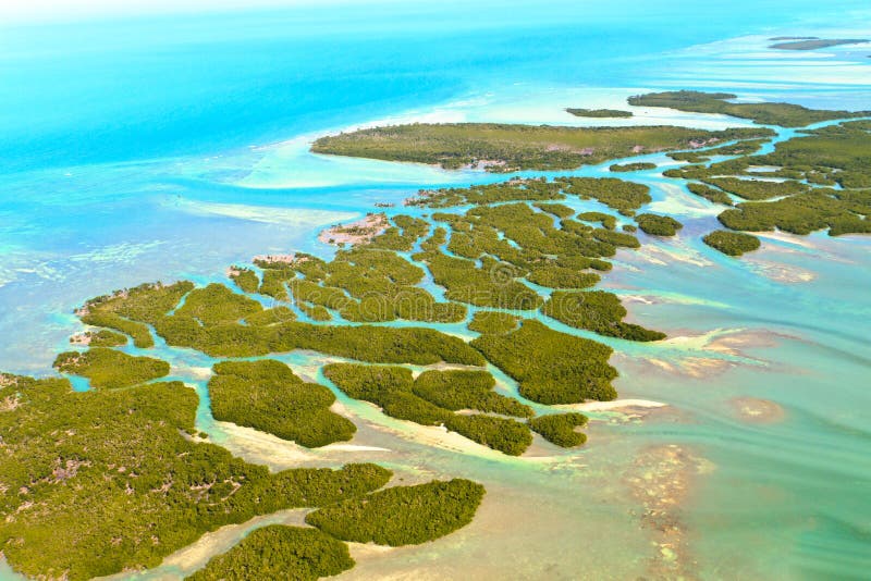 florida klucze zdjęcia stock florida klucze zdjęcia stock