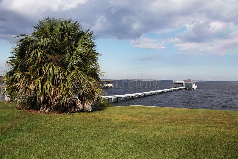 Florida landscape stock image. Image of landscape, grass - 36380989