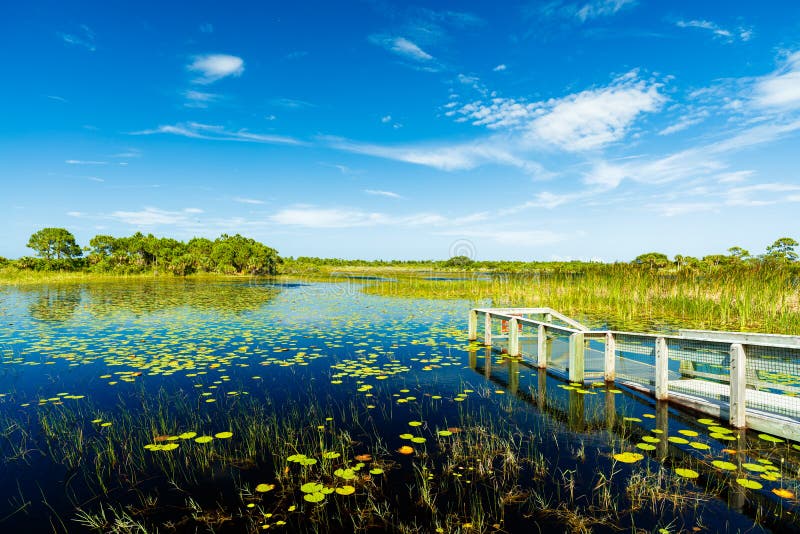 Florida Nature Preserve