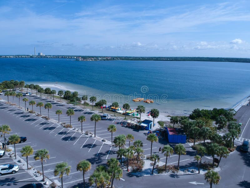 Florida Palm Harbor Beach Bird Stock Photo Image of florida, coast