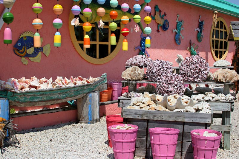 Florida Shell Shop stock image. Image of florida, collectable 630337