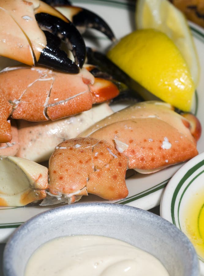 Florida stone crab claws stock image. Image of claws 13959179