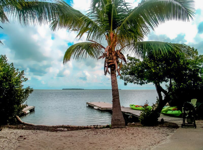 Florida stämmer den mycket lilla stranden rimmed med kokosnötter med skeppsdockan och kajaker och palmträdet royaltyfria foton Florida stämmer den mycket lilla stranden rimmed med kokosnötter med skeppsdockan och kajaker och palmträdet royaltyfria foton