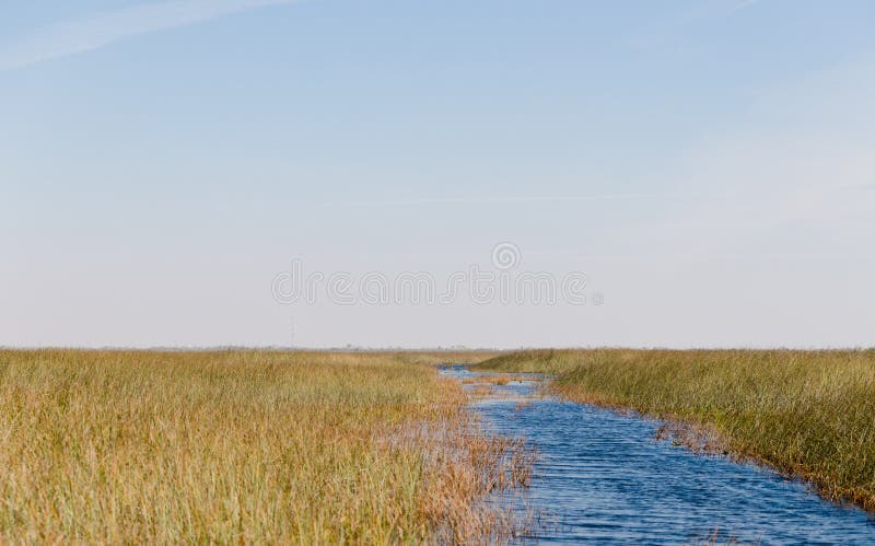 Florida-Sumpfgebiet, Airboatfahrt am Everglades-Nationalpark in USA Populärer Platz für Touristen stockfotografie Florida-Sumpfgebiet, Airboatfahrt am Everglades-Nationalpark in USA Populärer Platz für Touristen stockfotografie