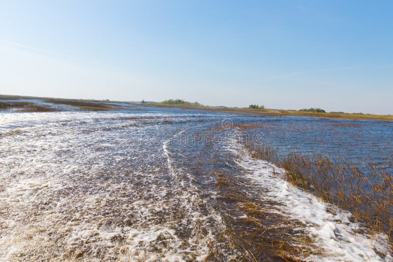 Florida-Sumpfgebiet, Airboatfahrt am Everglades-Nationalpark in USA Populärer Platz für Touristen lizenzfreies stockbild Florida-Sumpfgebiet, Airboatfahrt am Everglades-Nationalpark in USA Populärer Platz für Touristen lizenzfreies stockbild