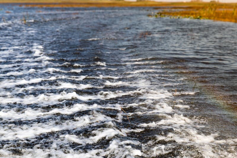 Florida-Sumpfgebiet, Airboatfahrt am Everglades-Nationalpark in USA Populärer Platz für Touristen stockbilder Florida-Sumpfgebiet, Airboatfahrt am Everglades-Nationalpark in USA Populärer Platz für Touristen stockbilder