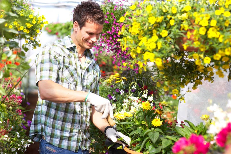 Florist stock photos