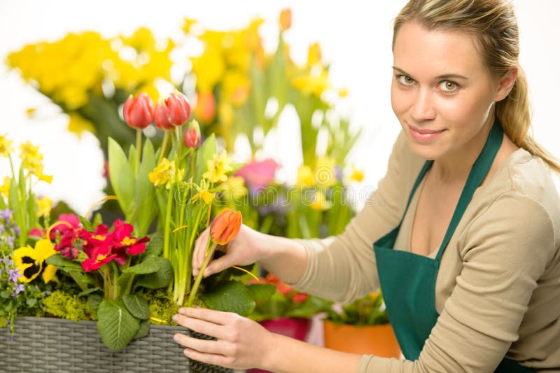 Florist arrange spring flowers colorful plants