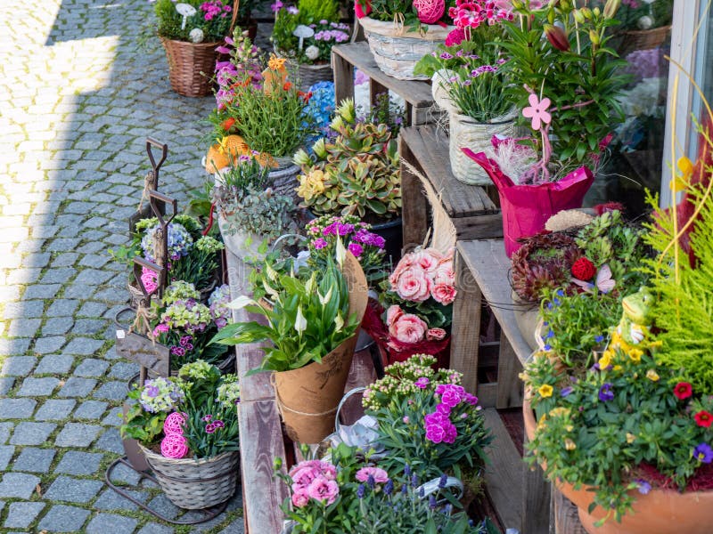 Florist Flower Shop in Town Stock Image Image of green, pink 193233425