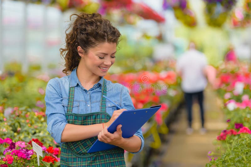 Floristenfrau, die mit Blumen in einem Gewächshaus arbeitet stockbild Floristenfrau, die mit Blumen in einem Gewächshaus arbeitet stockbild