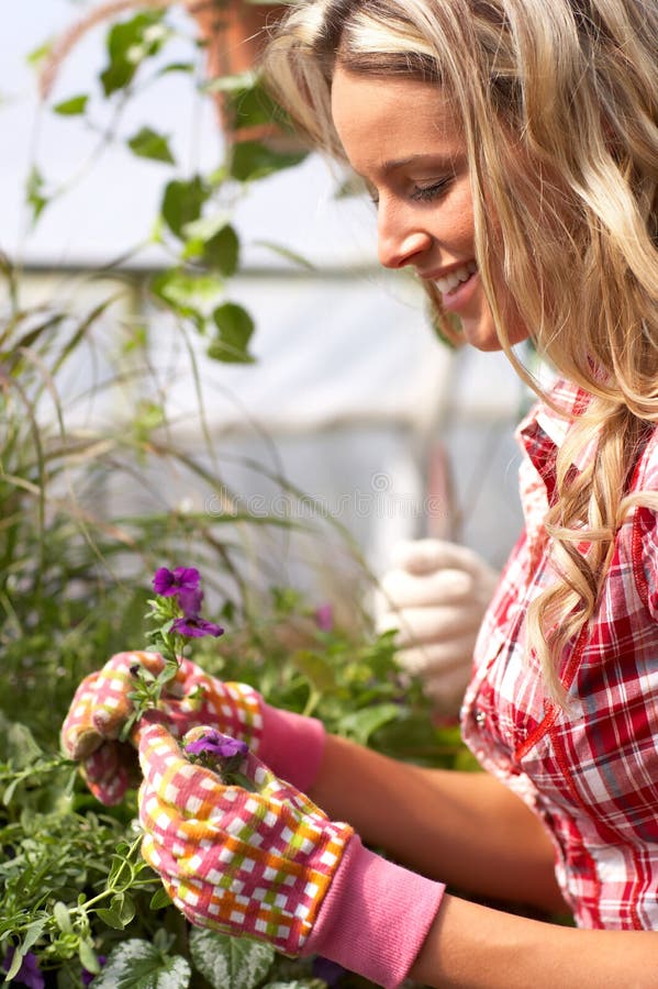 Florists стоковое изображение rf