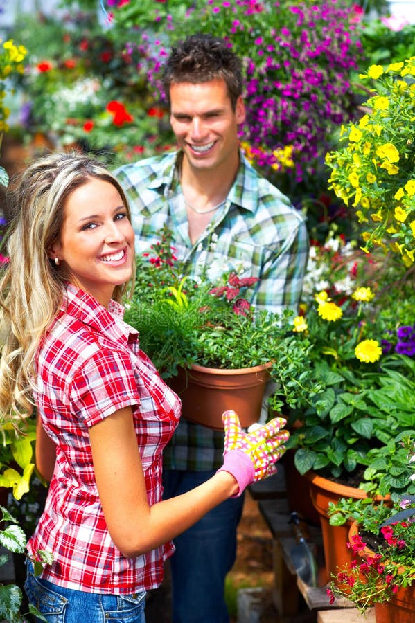 Florists stock image. Image of background, nature, business 9569763